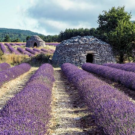 Le Cabanon Des Lavandes Entre Mont Ventoux Et Luberon Sault-de-Vaucluse Zewnętrze zdjęcie